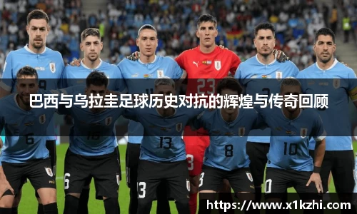 芒果体育官网入口